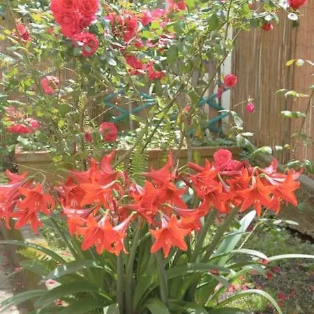 Casa Del Tempo, Apt+giardino Citra 010054-lt-0417 Santa Margherita Ligure