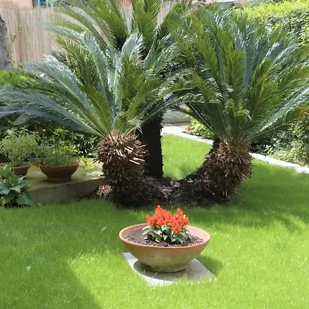 Villa Casa Del Tempo, Apt+giardino Citra 010054-lt-0417 *